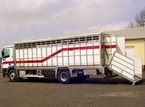 Camion poids lourd bétaillère inox